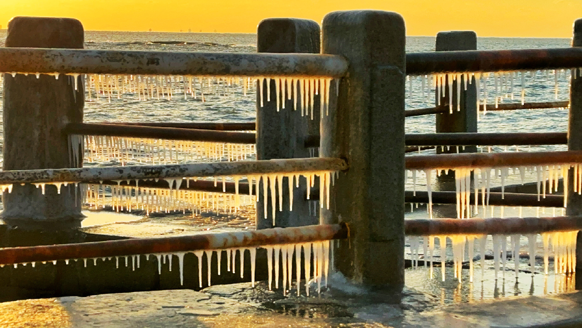 1769993795805007547.png image.png