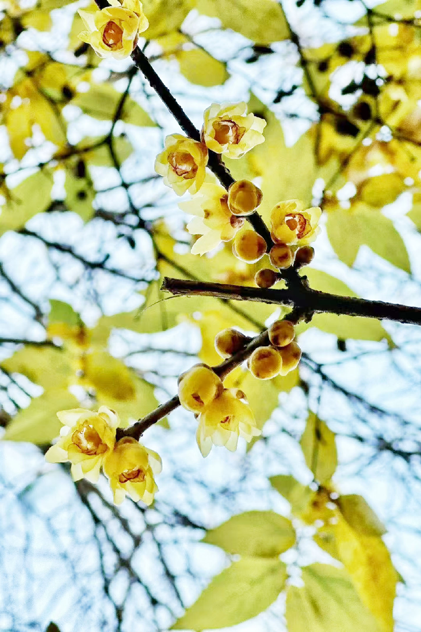 1770347455149088028.png image.png