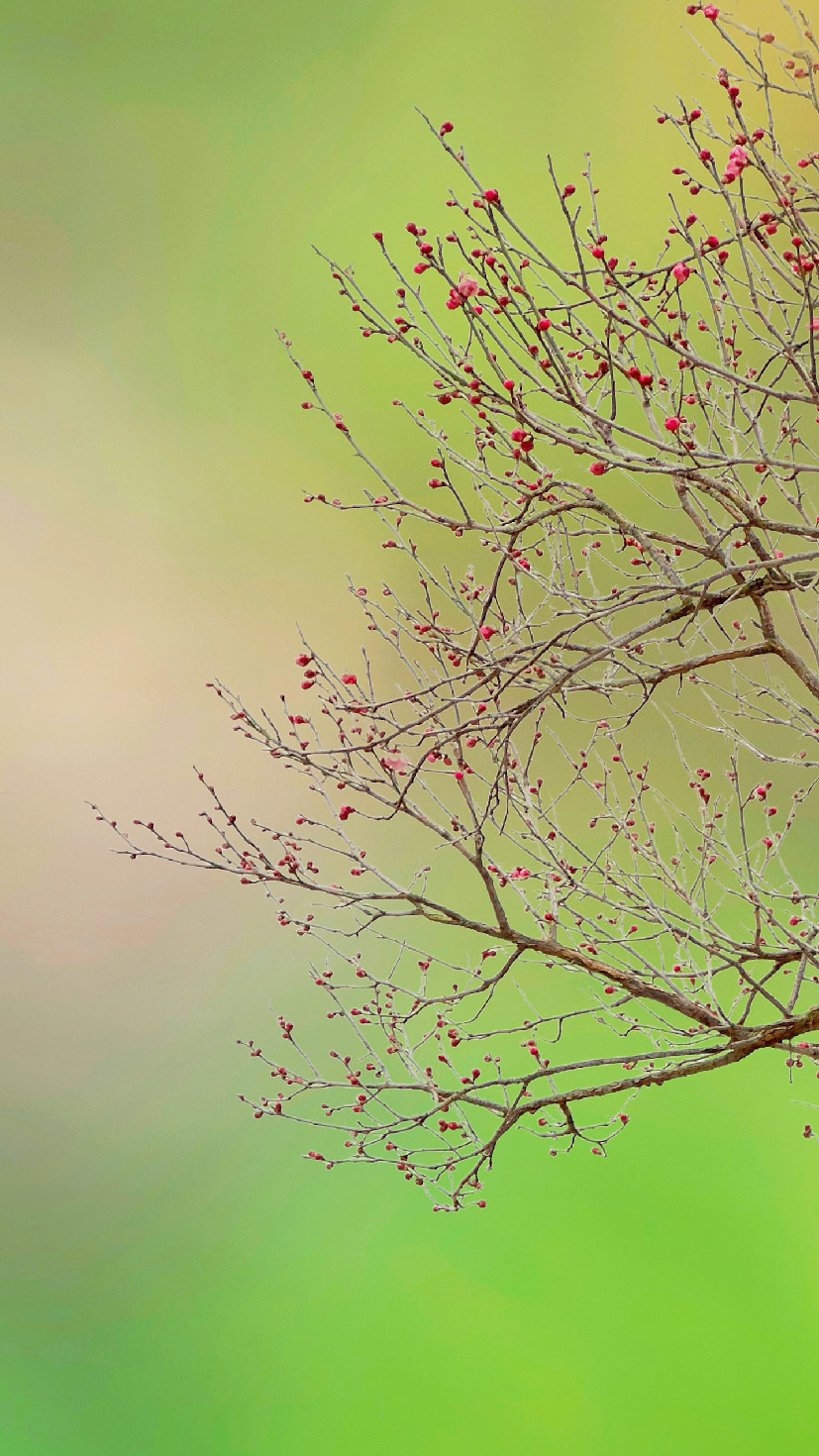 1770347608132014863.png image.png