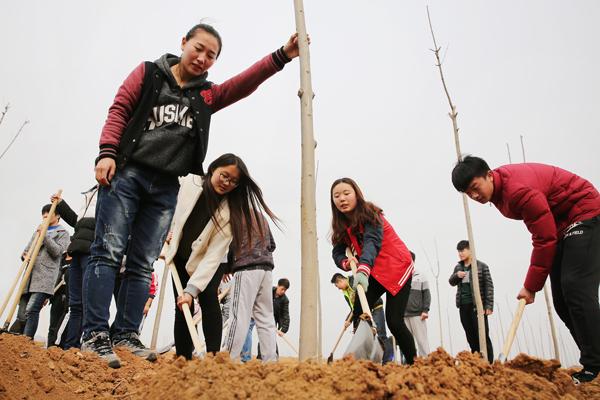 義務植樹添新綠