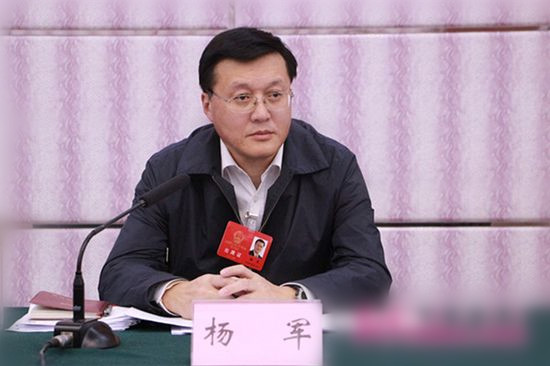 楊軍審議省政府報告