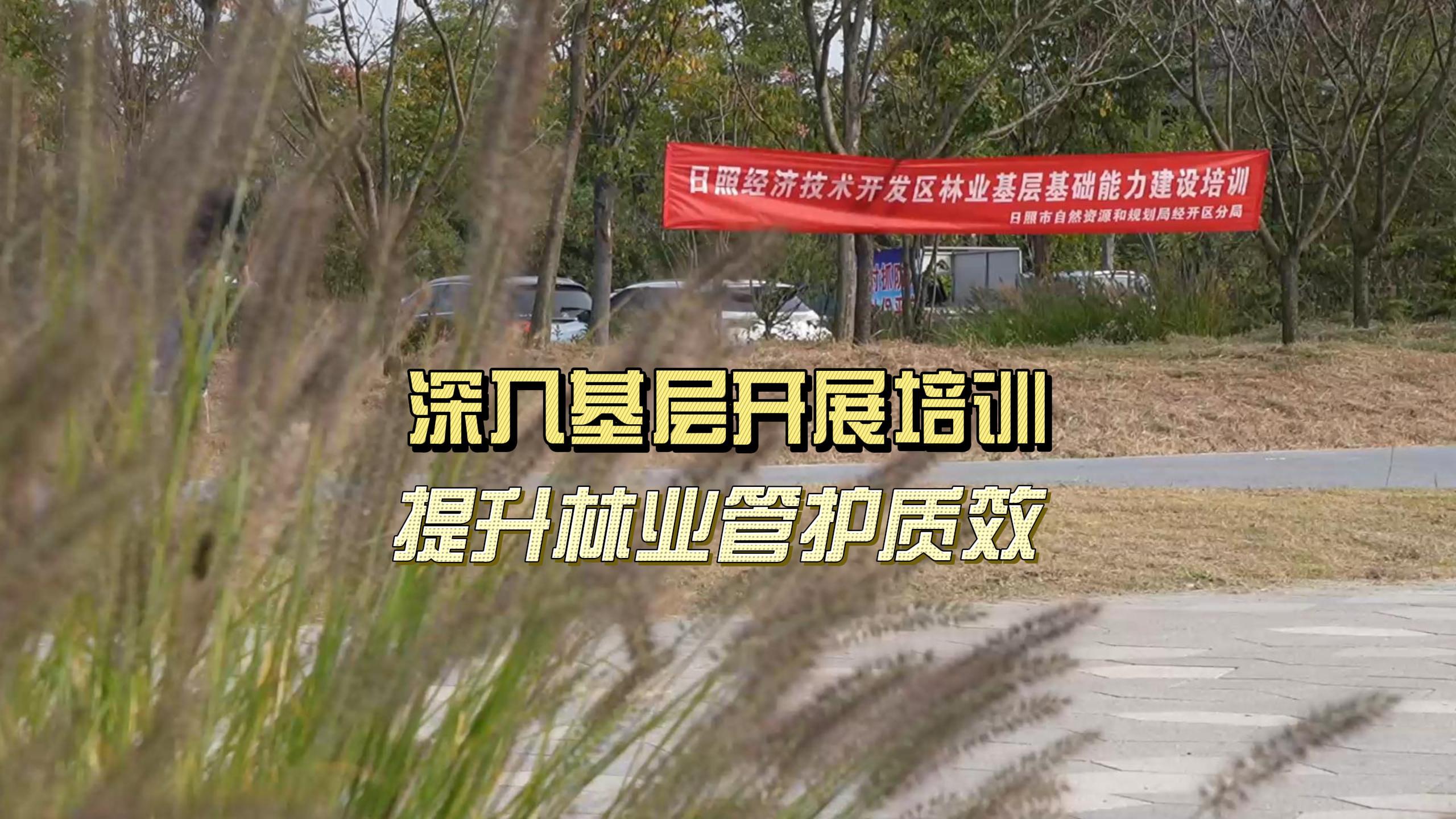 日照經開區自規局：深入基層開展培訓 提升林業管護質效