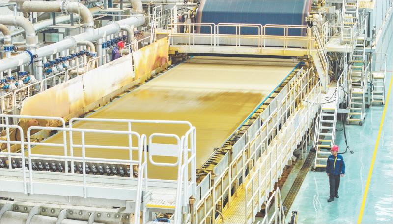 以紙代塑 “綠色”致富